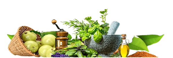 Ayurvedic Treatment for Sexual Problems