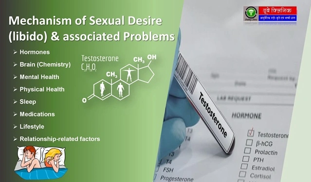  Loss of Libido Treatment
